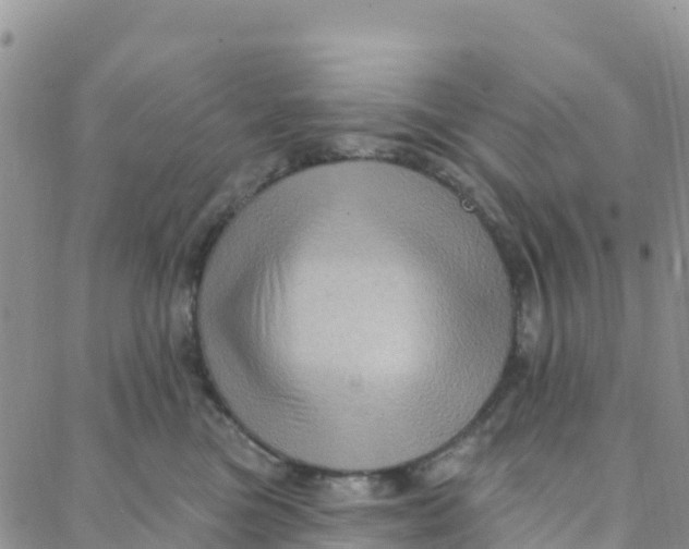 X0000088380473200706121149