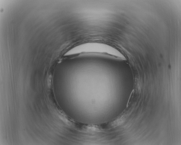 X0000088380475200706121149