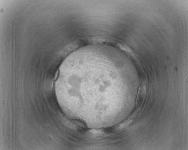 X0000088380477200706121149