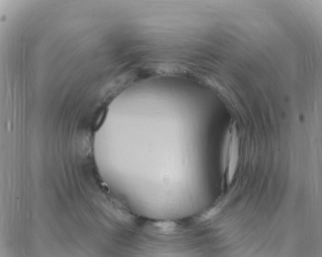 X0000088380478200706121149