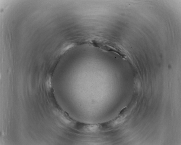 X0000088380479200706121149