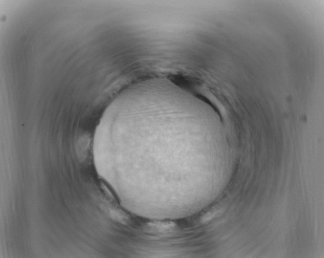 X0000088380480200706121149