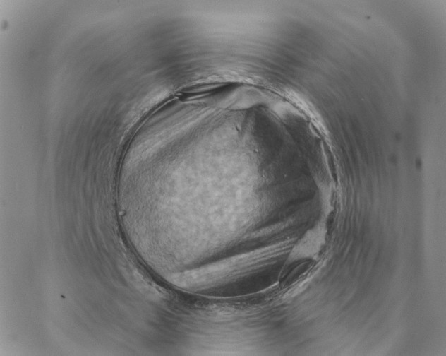 X0000088380481200706121149