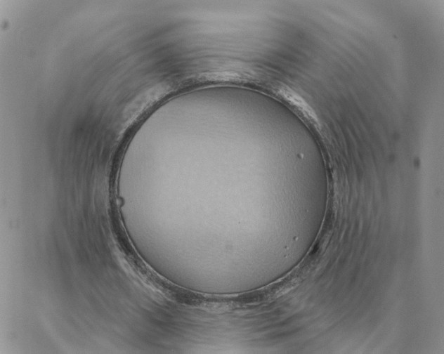 X0000088380482200706121149