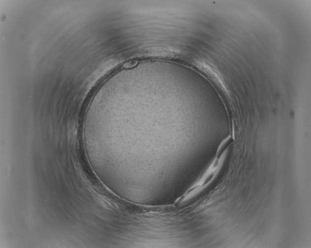 X0000088380483200706121149