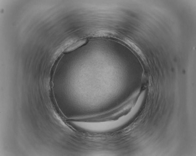 X0000088380485200706121149