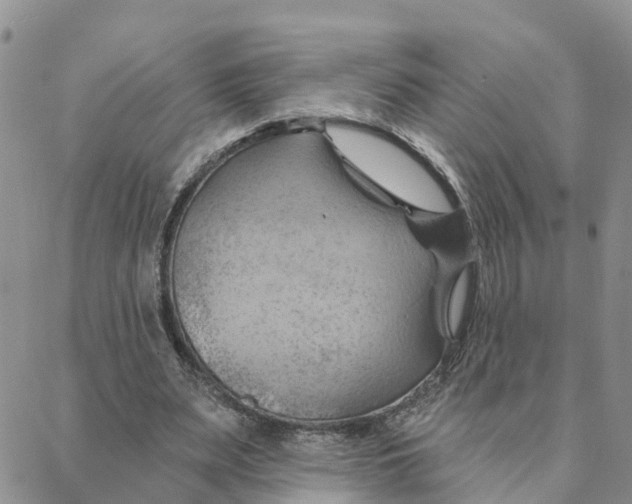 X0000088380487200706121149