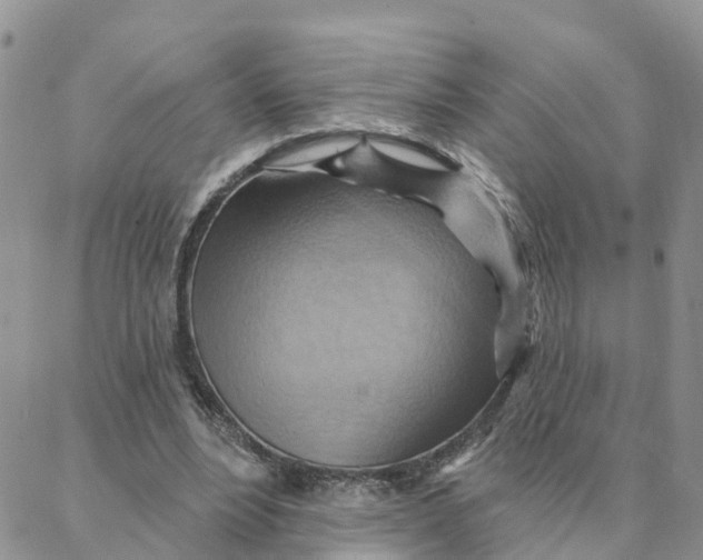 X0000088380488200706121149