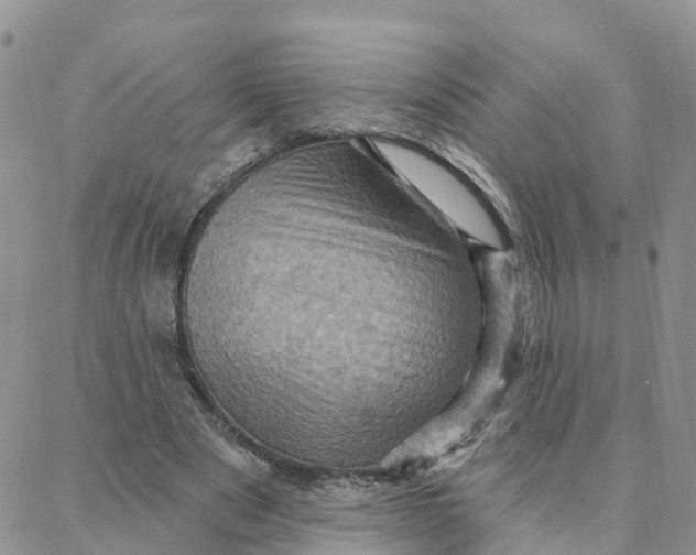 X0000088380489200706121149