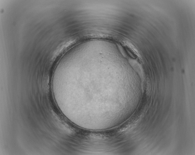 X0000088380490200706121149