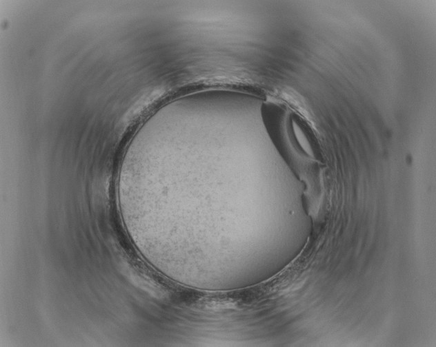 X0000088380491200706121149