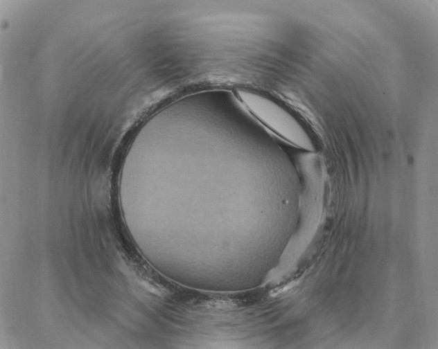 X0000088380492200706121149