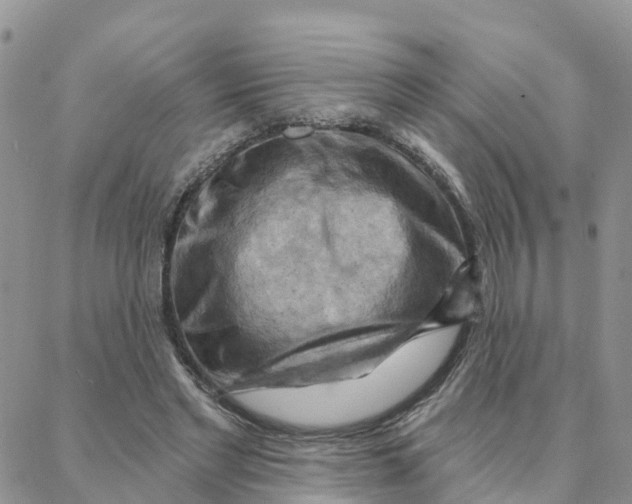 X0000088380493200706121148