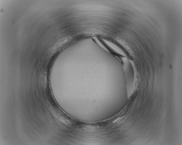 X0000088380494200706121148