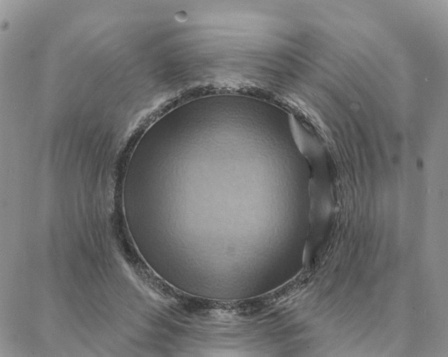 X0000088380496200706121148