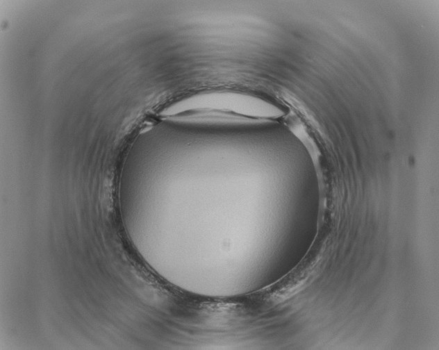 X0000088380497200706121148