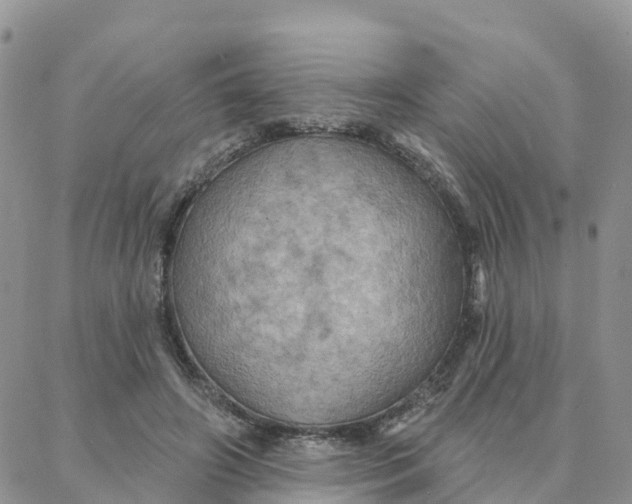 X0000088380498200706121148