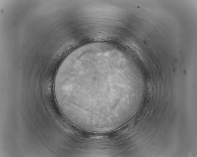 X0000088380499200706121148