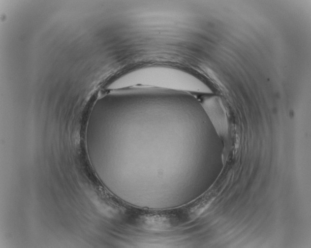 X0000088380500200706121148