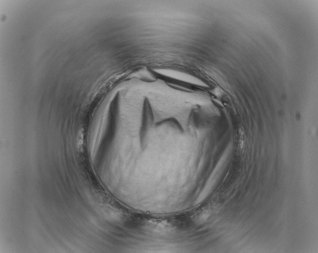 X0000088380502200706121148