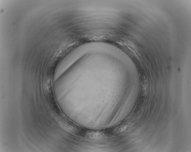 X0000088380503200706121148