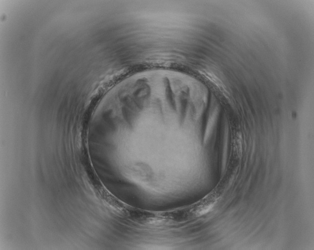 X0000088380504200706121148