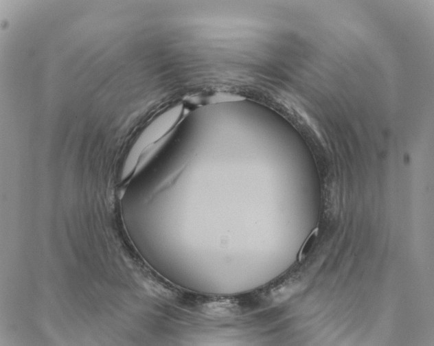 X0000088380505200706121148