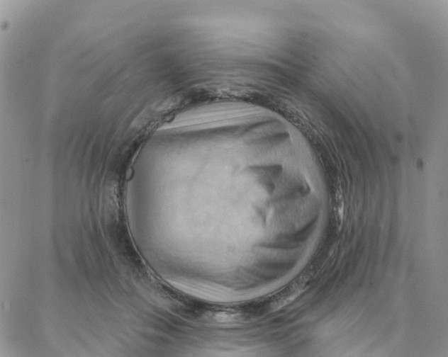 X0000088380506200706121148