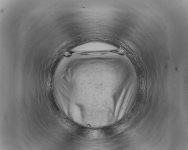 X0000088380507200706121148