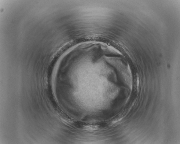 X0000088380508200706121148