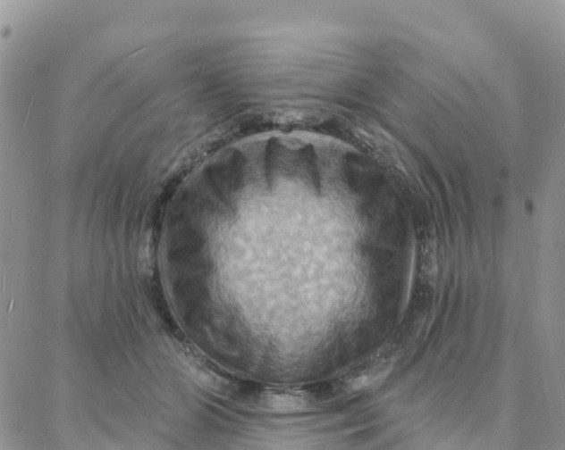 X0000088380510200706121148