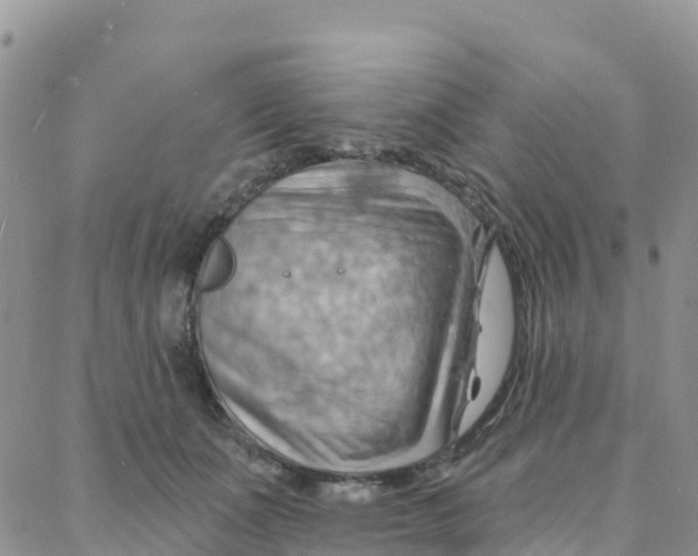 X0000088380511200706121148