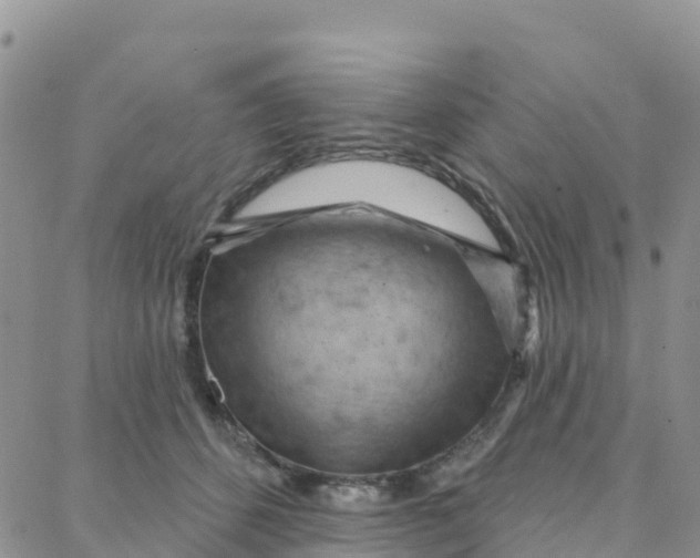 X0000088380512200706121148