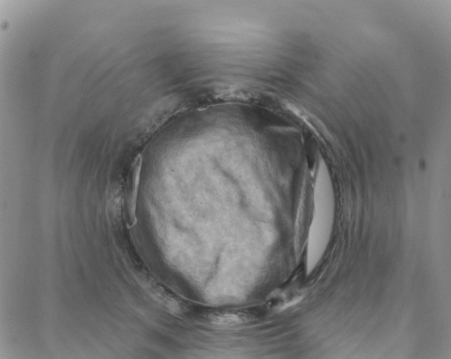 X0000088380513200706121148