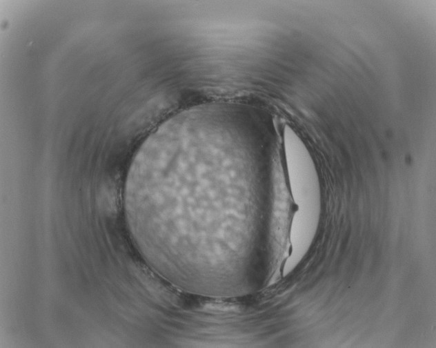 X0000088380515200706121148