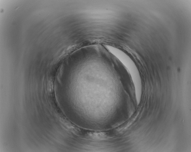 X0000088380517200706121148