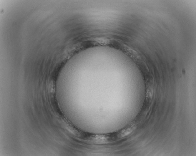 X0000088380518200706121148