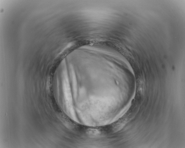 X0000088380519200706121148