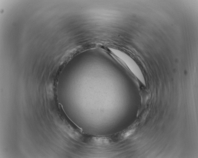 X0000088380520200706121148