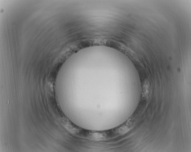 X0000088380522200706121148