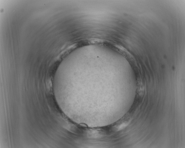 X0000088380523200706121148