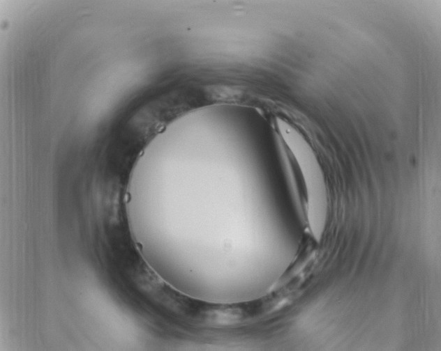 X0000088380525200706121148