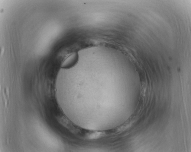 X0000088380527200706121148