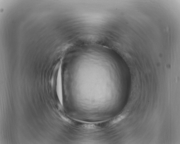 X0000088380528200706121148