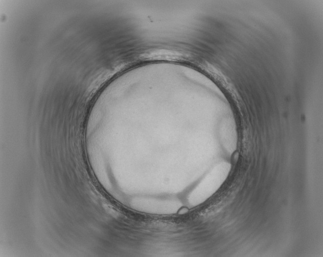 X0000088380529200706121147