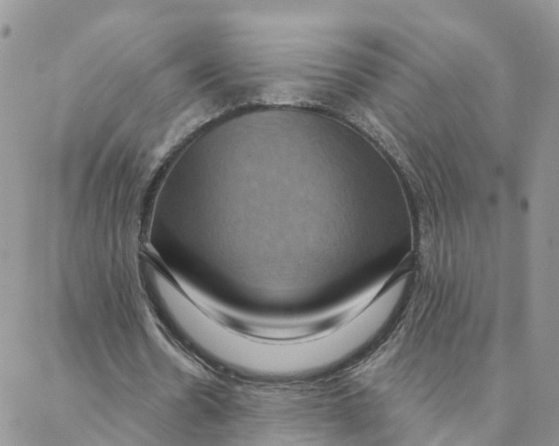 X0000088380530200706121147