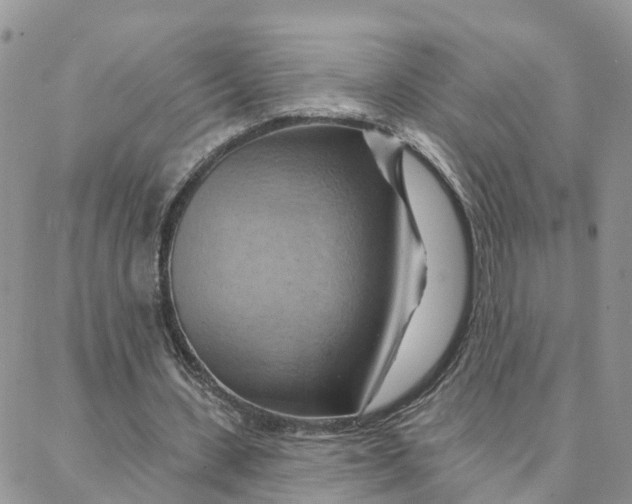 X0000088380531200706121147