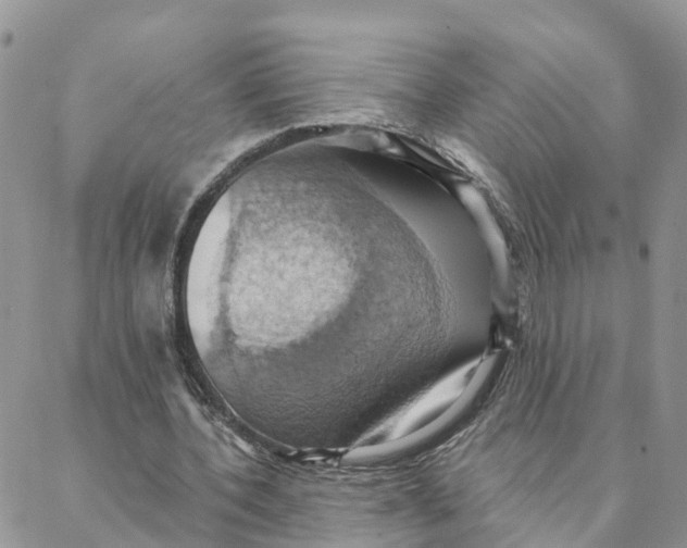 X0000088380532200706121147