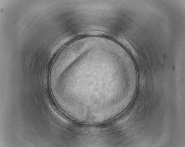 X0000088380533200706121147