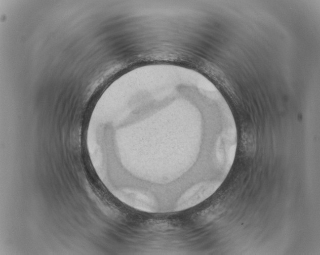 X0000088380534200706121147